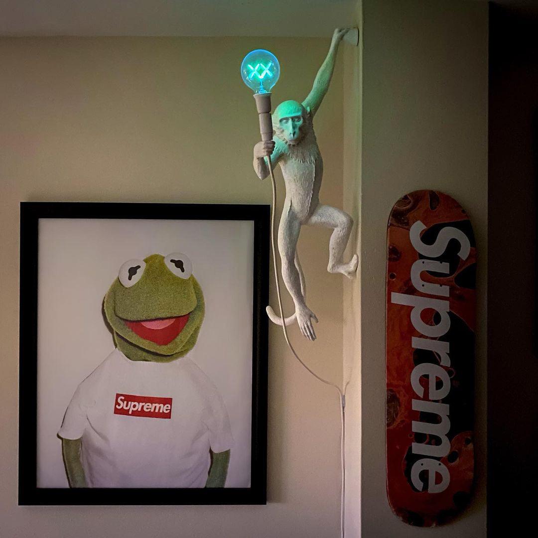 Bnx Art uniek Monkey hars wandlamp