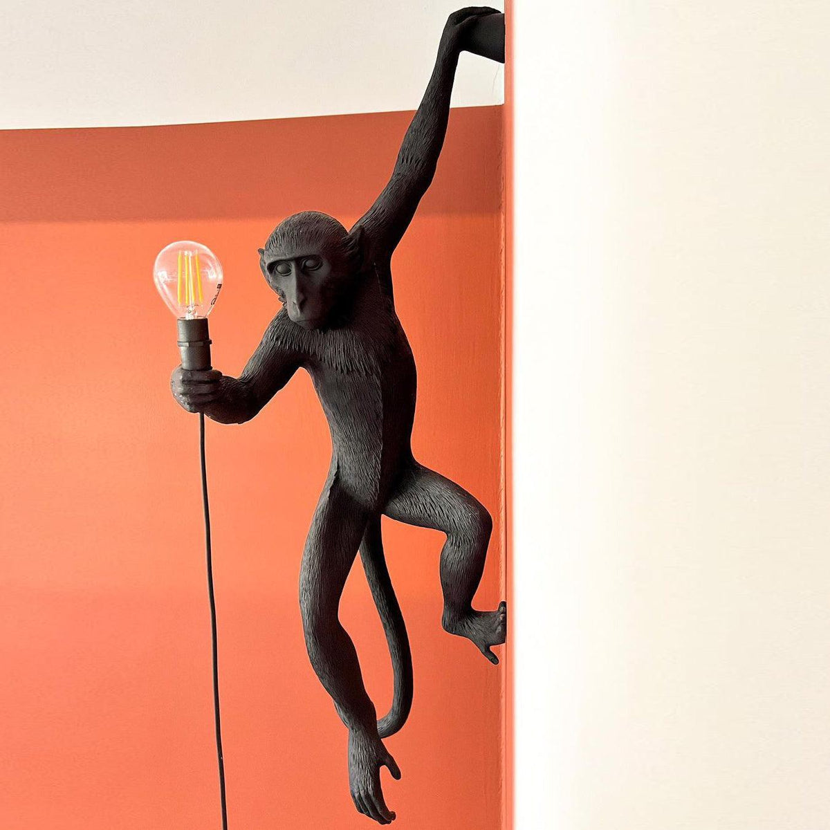 Bnx Art uniek Monkey hars wandlamp