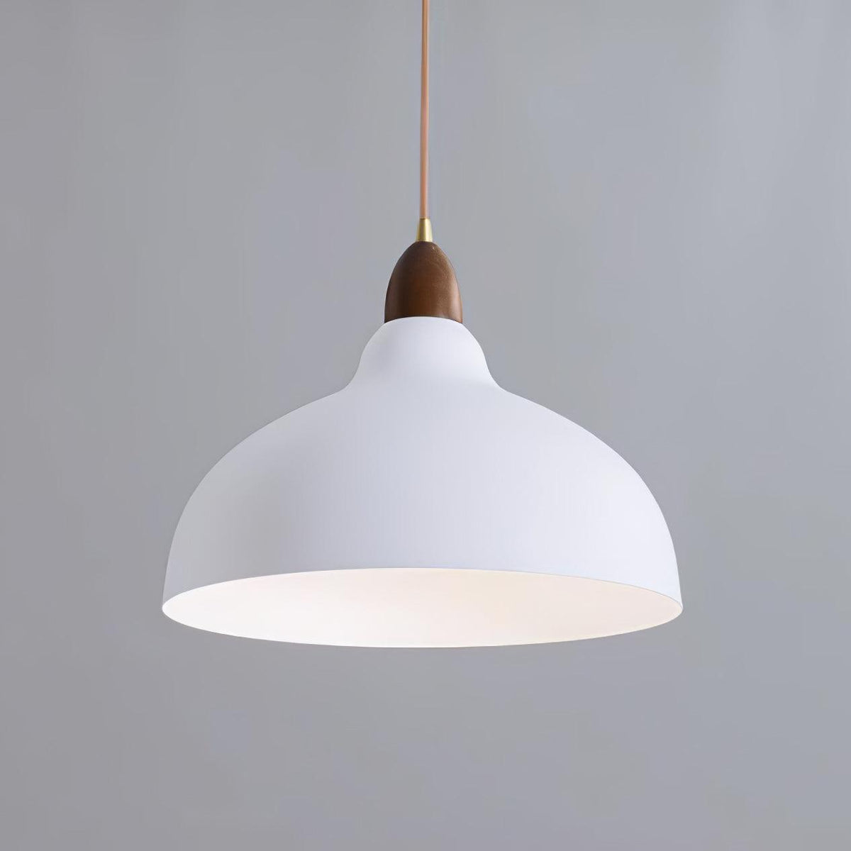 Nororena Minimalistische hanglamp