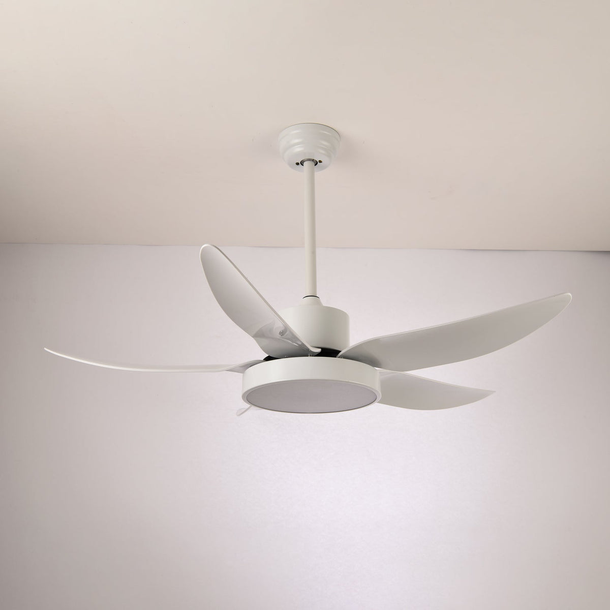 Selalise Moderne plafondventilator met verlichting