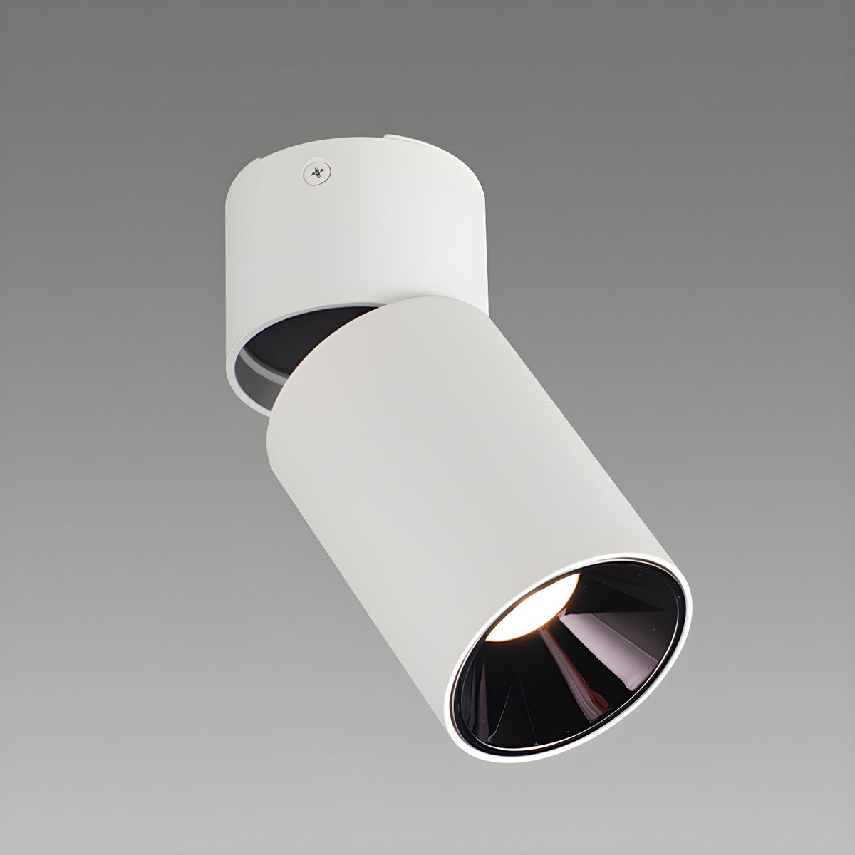 Colven klassieke Tube plafondlamp