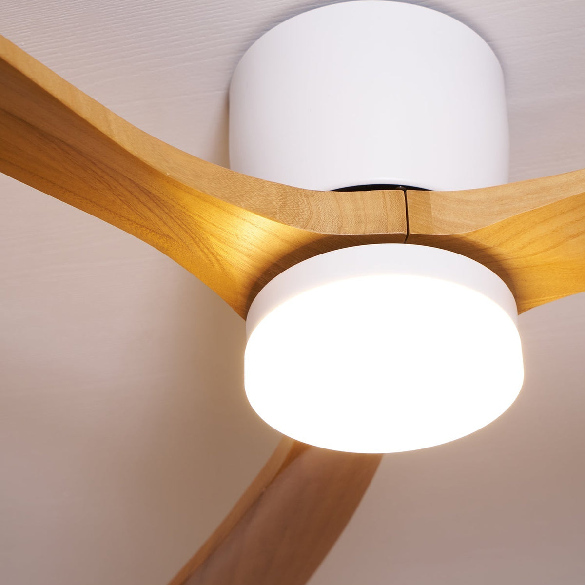 Elaerine plafondventilator met verlichting