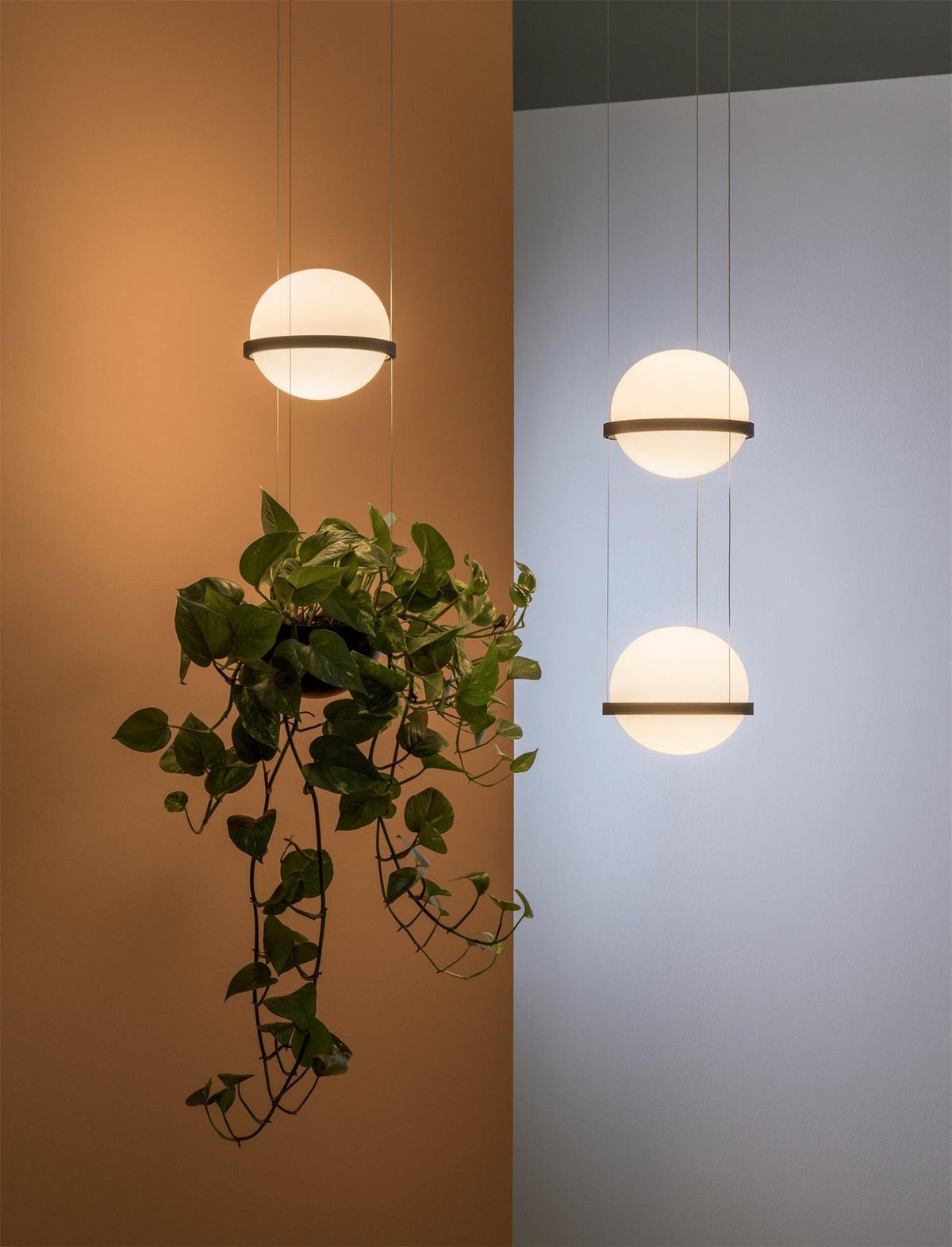 Vacaria hanglamp