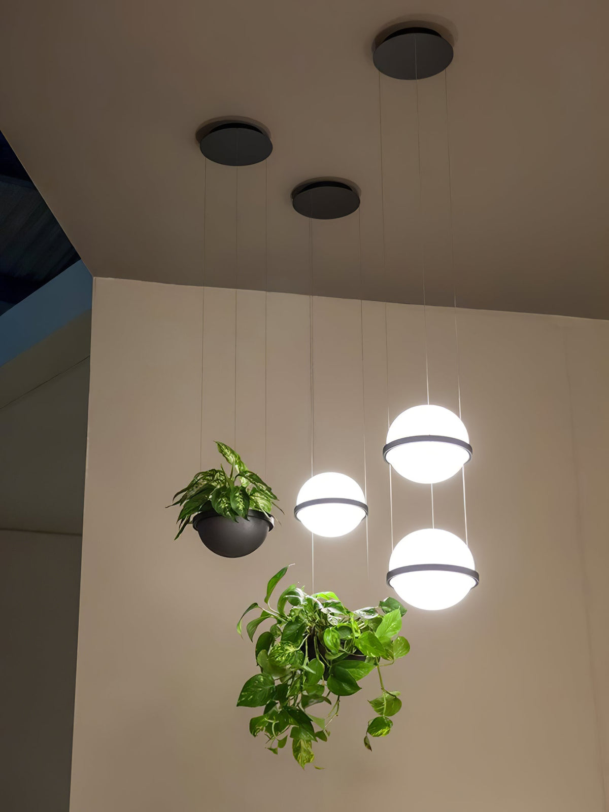 Vacaria hanglamp
