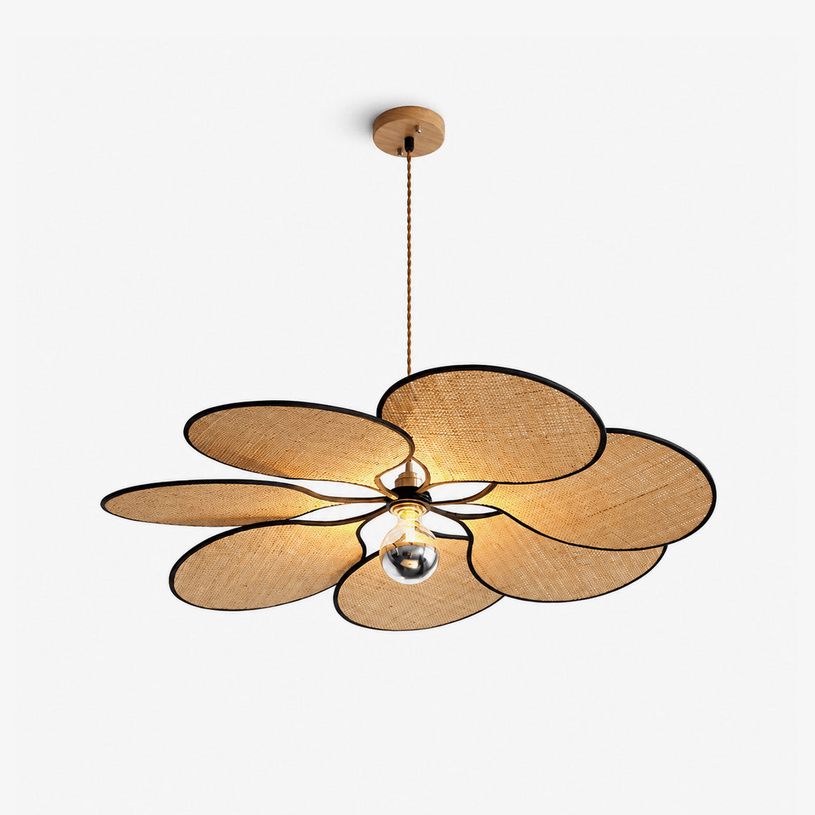 Soriniella hanglamp