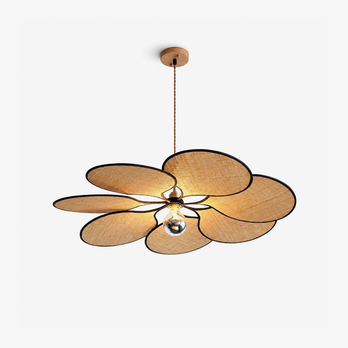 Soriniella hanglamp