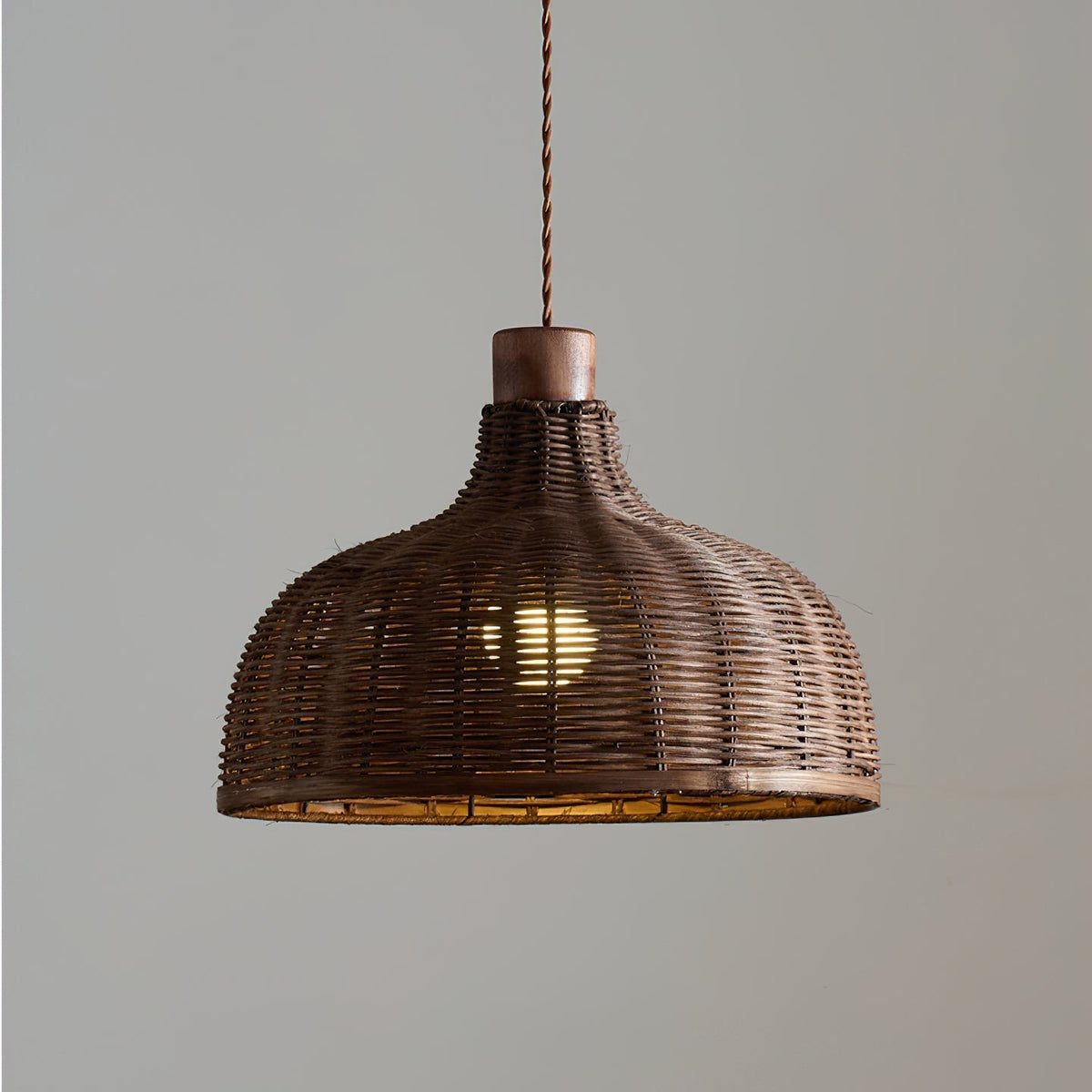 Elaeina hanglamp