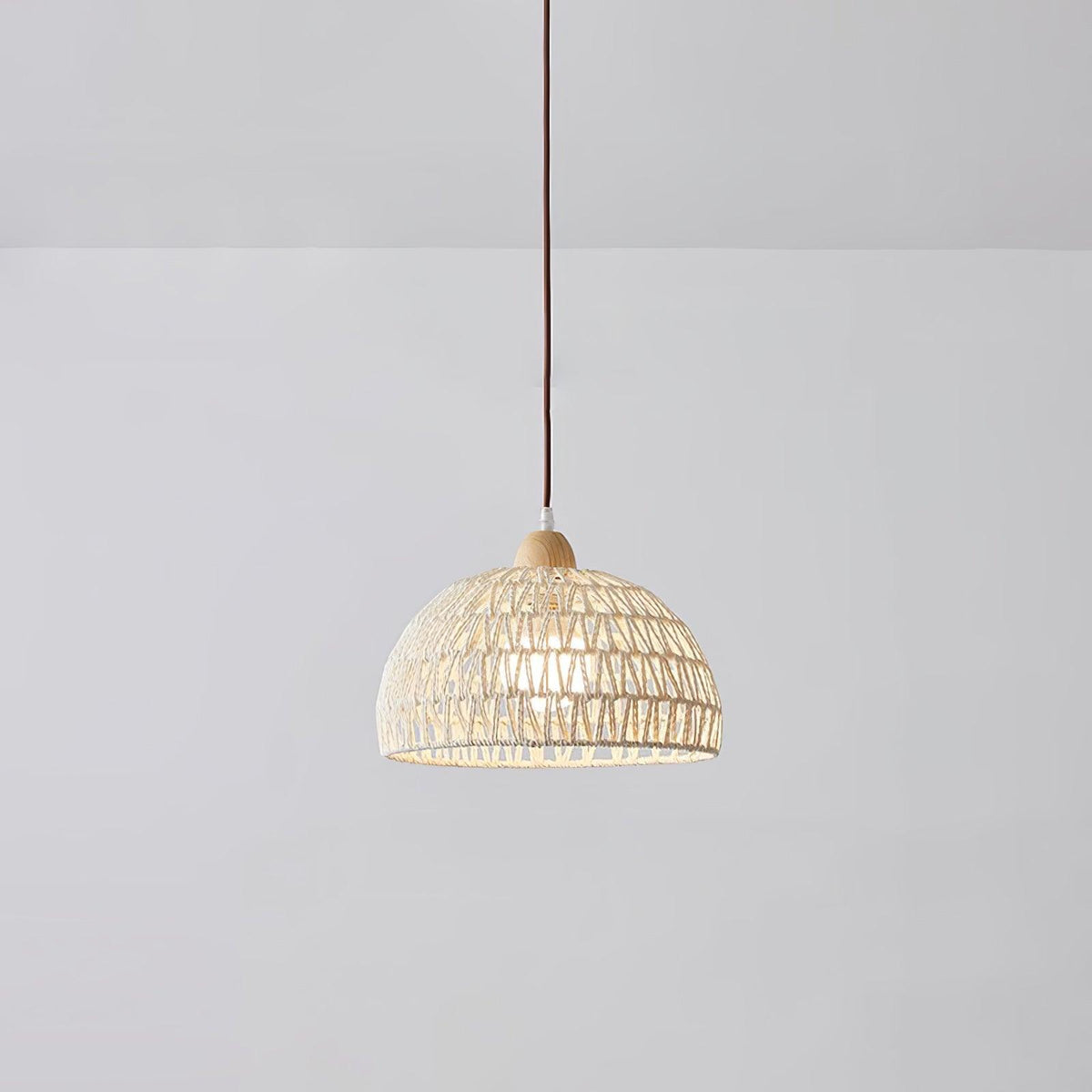 Renirena hanglamp