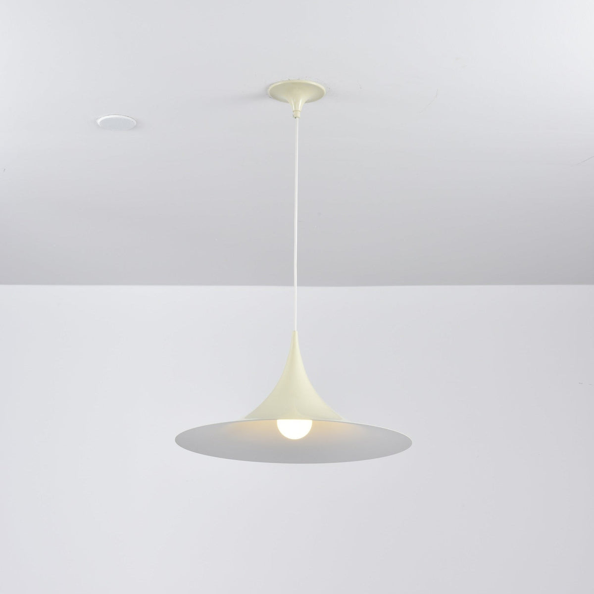 Lioreina Swag hanglamp