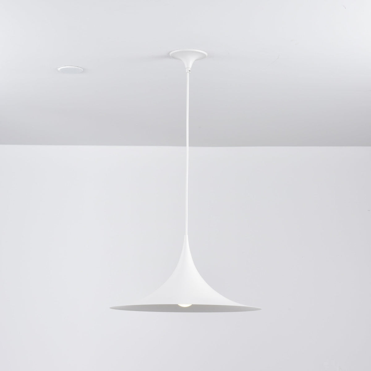 Lioreina Swag hanglamp