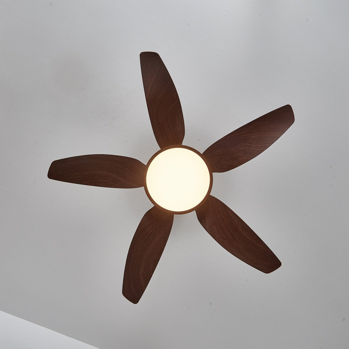 Sylenel modern Hout Messing Plafondventilator met lamp