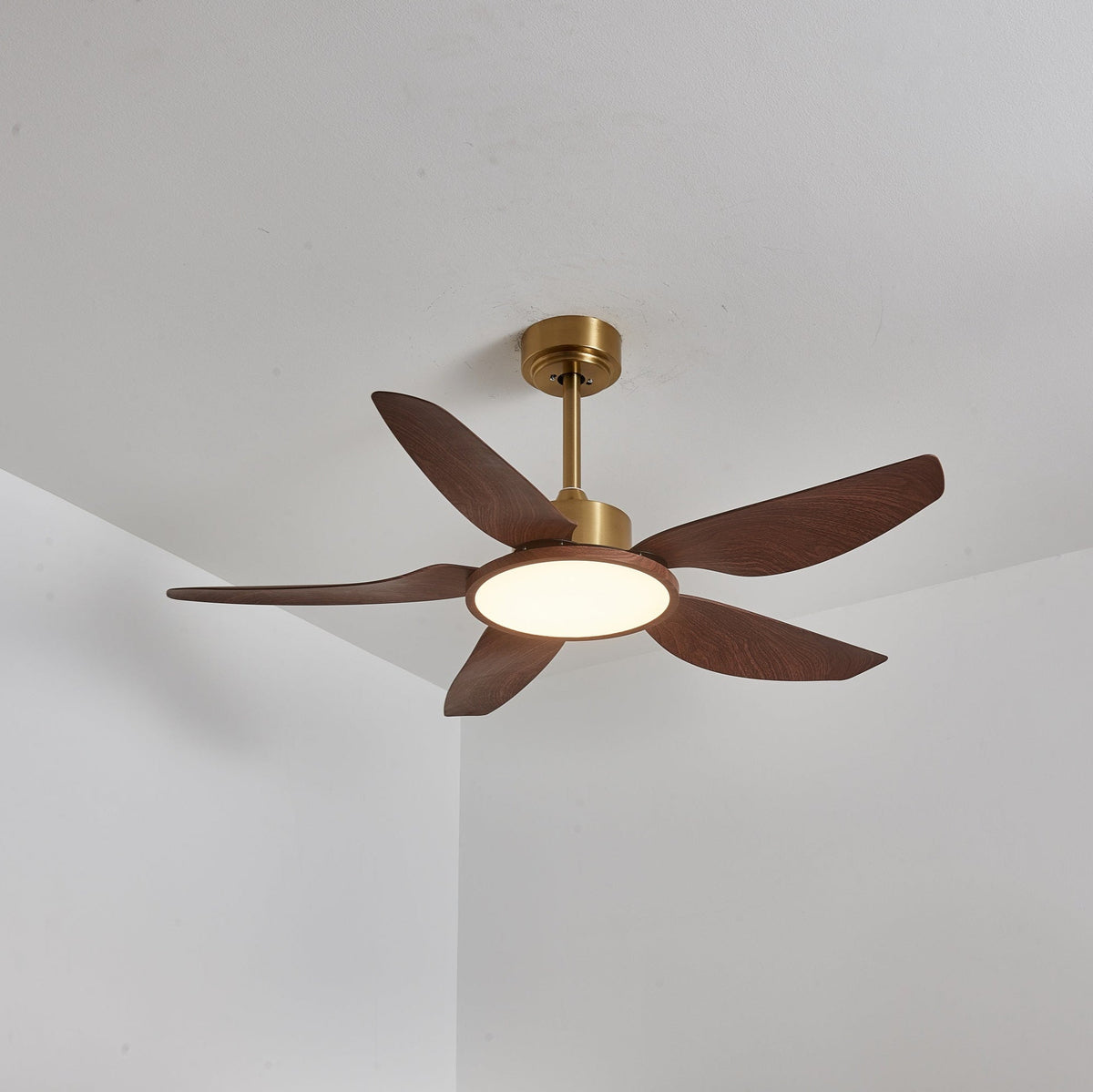 Sylenel modern Hout Messing Plafondventilator met lamp