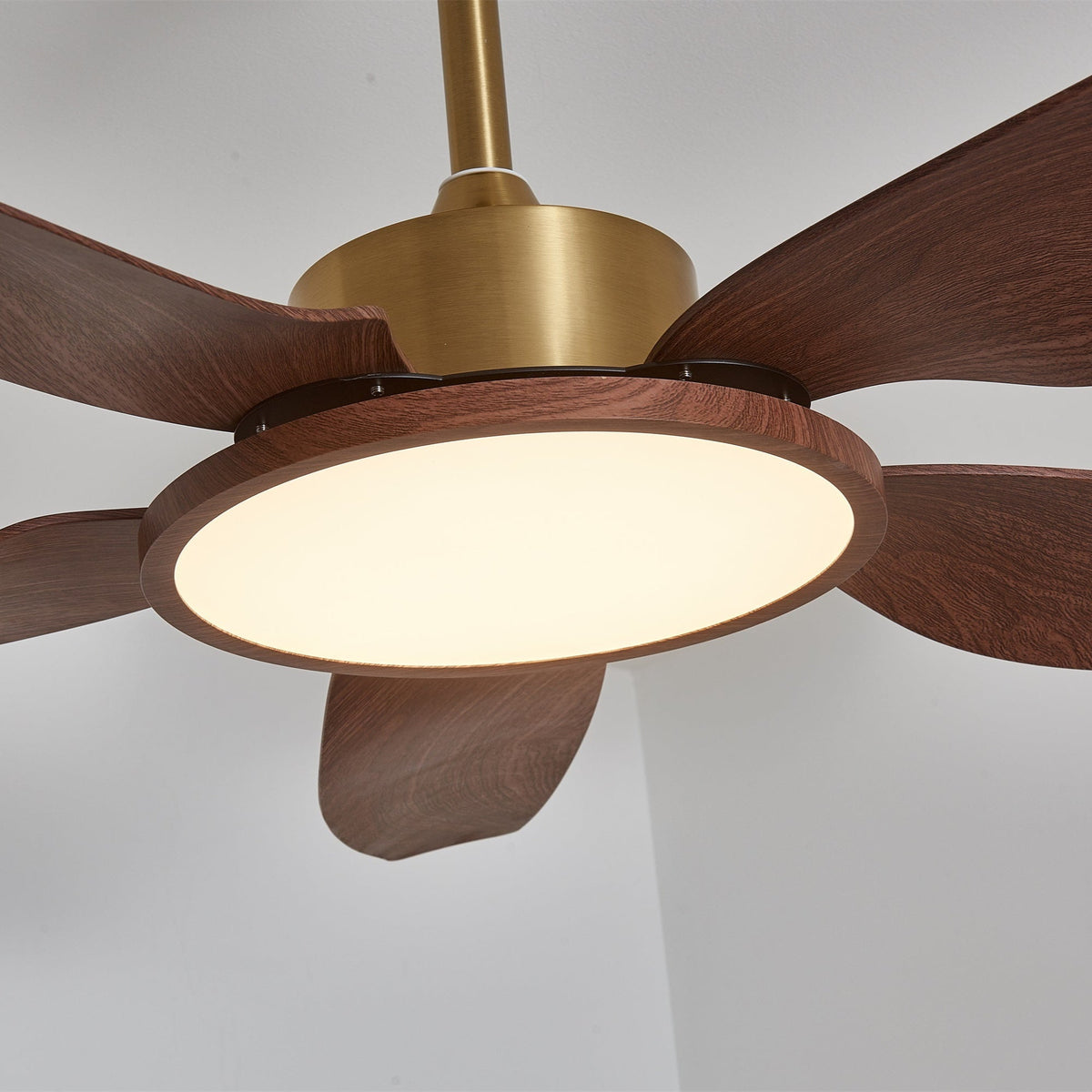Sylenel modern Hout Messing Plafondventilator met lamp