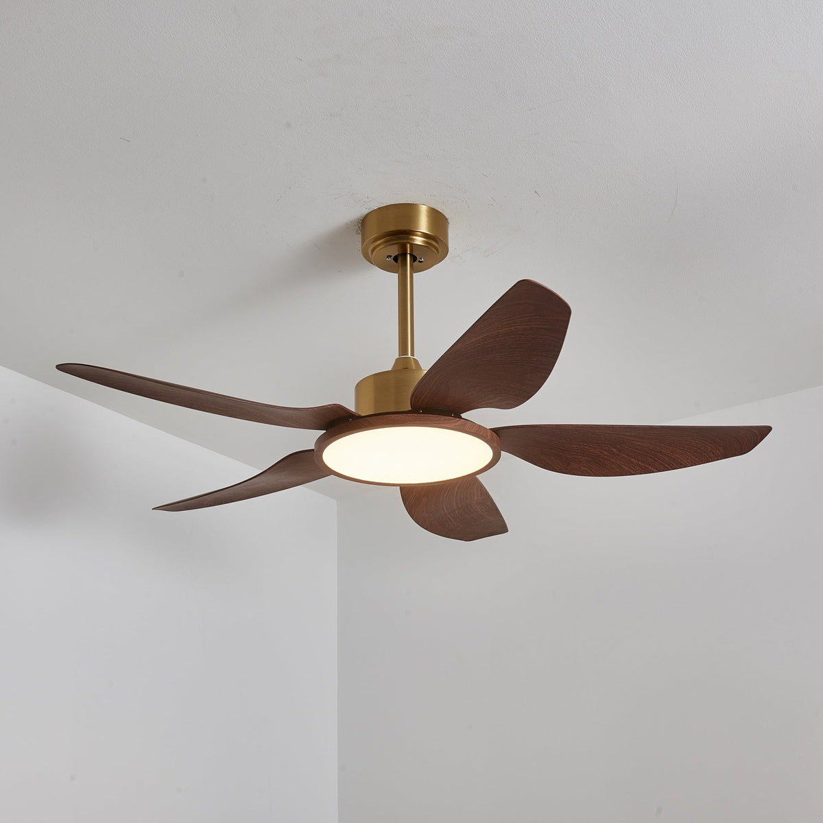 Sylenel modern Hout Messing Plafondventilator met lamp
