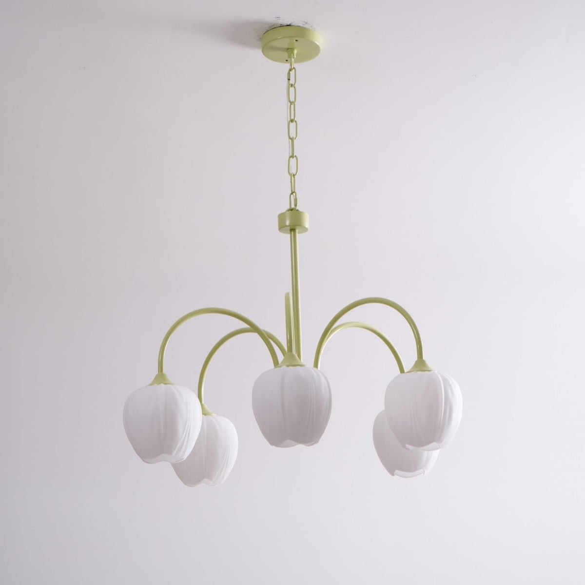 Eiraine kroonluchter Tulip Matcha glas