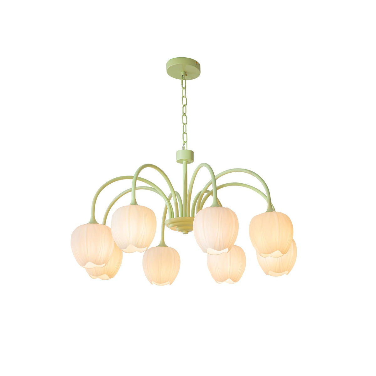 Eiraine kroonluchter Tulip Matcha glas