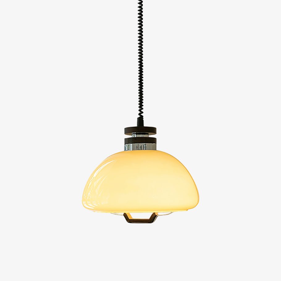 Avvinel Noordse kunst hanglamp pudding hout