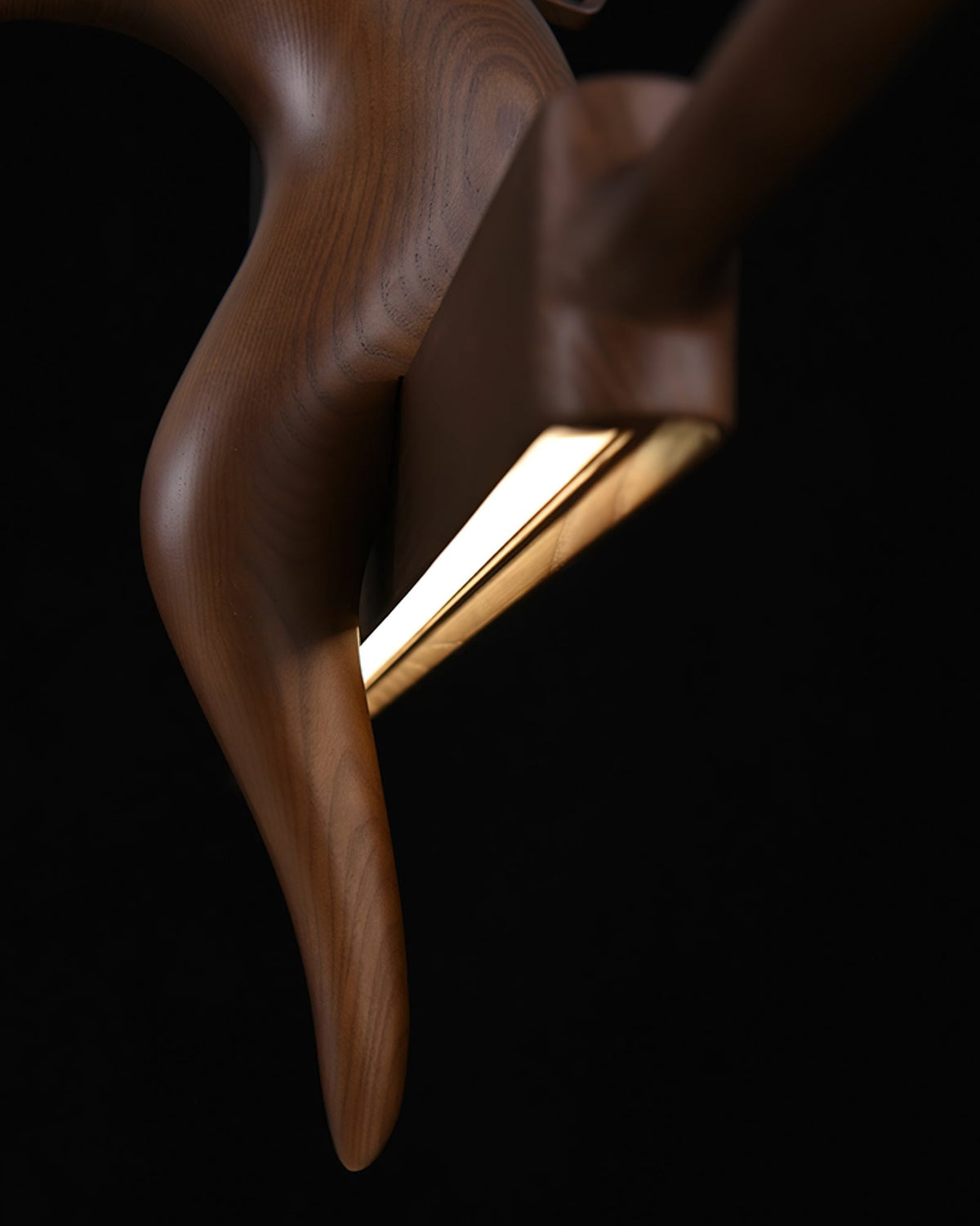 Varinisra sculpturale hanglamp van walnoothout