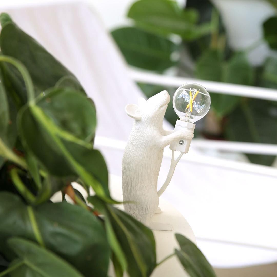 Kalinix Whimsical tafellamp van hars