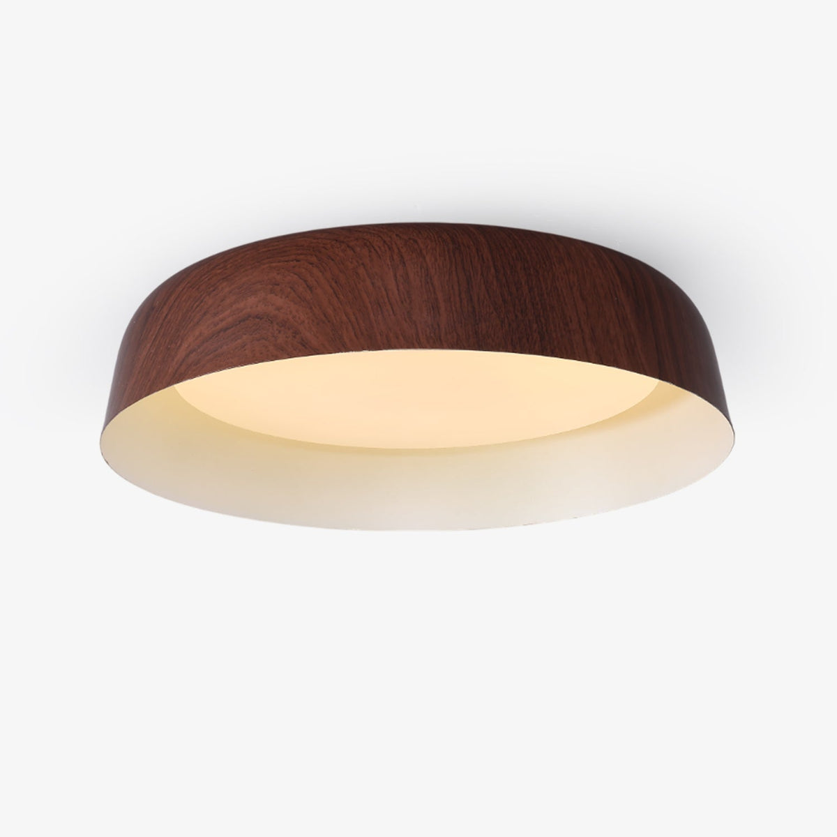 Viraenena Moderne minimalistische plafondlamp