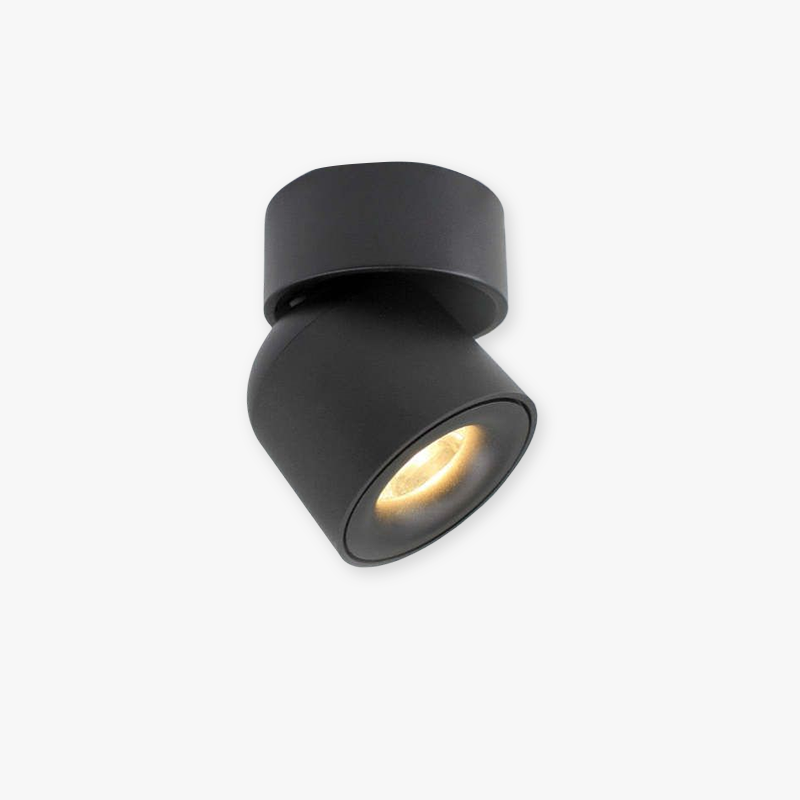 Novak Kleine LED Plafondlamp Zwart Wit Metaal Acryl Slaapkamer
