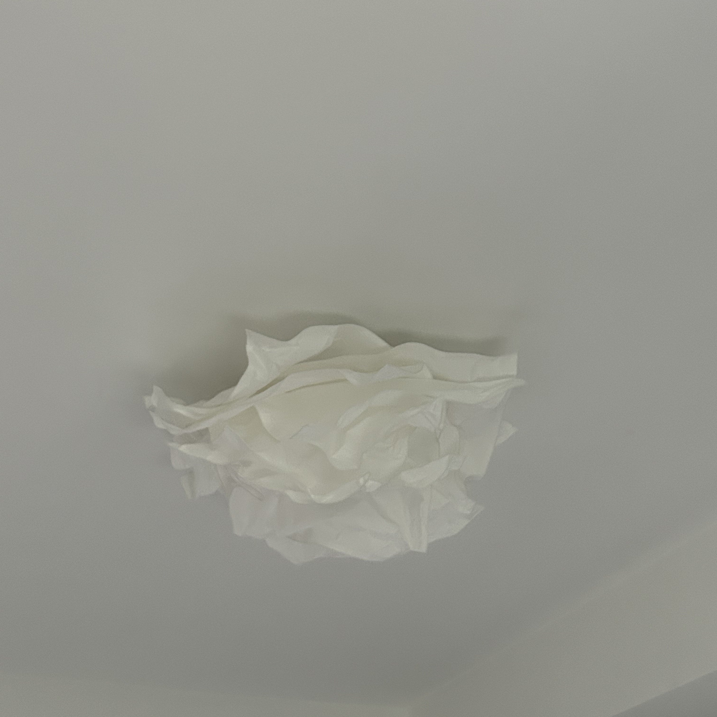 Ritta Ontwerp Bloem Metaal Plafondlamp Studie Slaapkamer