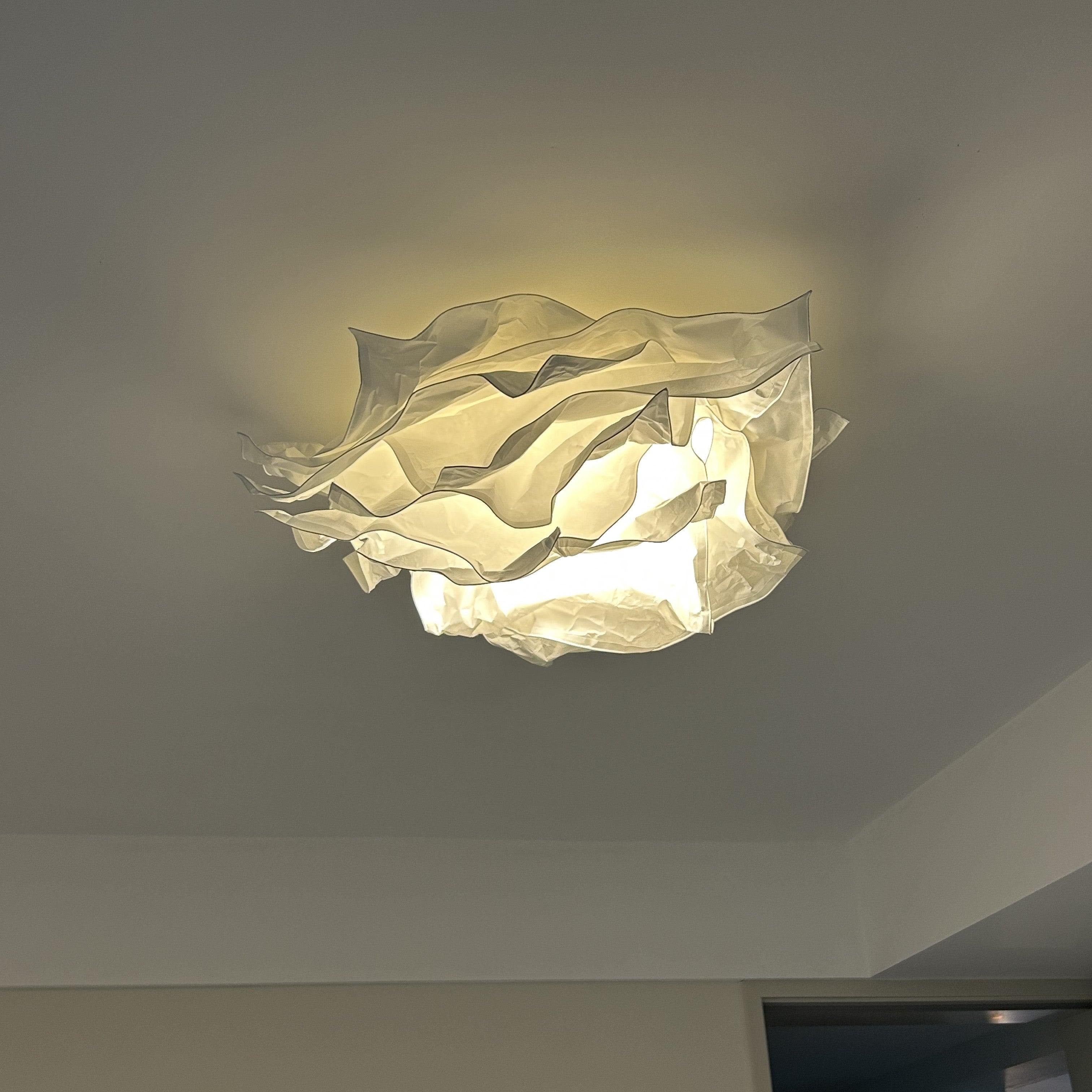 Ritta Ontwerp Bloem Metaal Plafondlamp Studie Slaapkamer