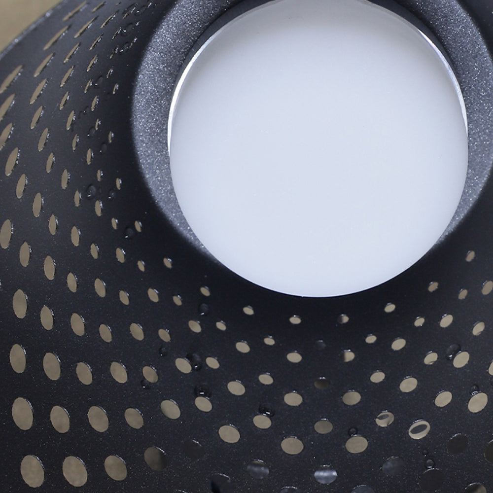 Carins Industrieel Hol LED Buitenlamp Karwei Zwart Metaal Tuin