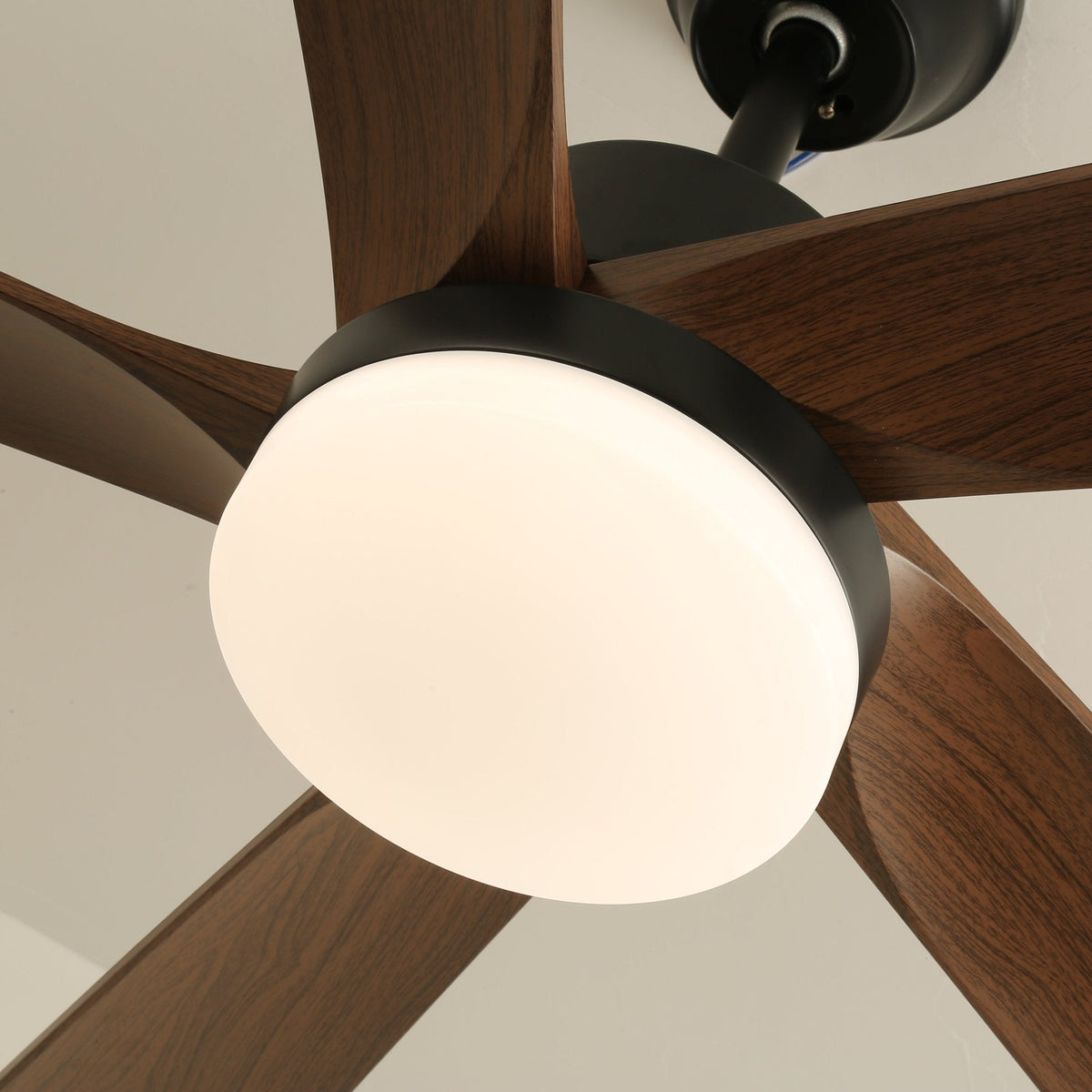 Eryndor moderne plafondventilator met verlichting van hout