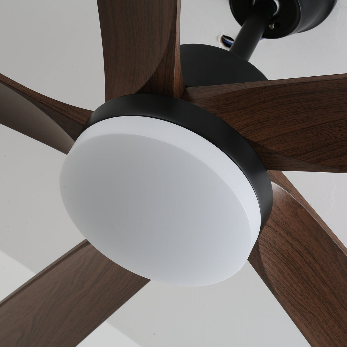 Eryndor moderne plafondventilator met verlichting van hout