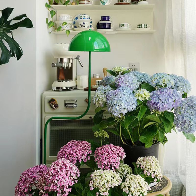 Salgado Moderne Design Vloerlamp Paddestoel Midden Eeuwenoud Boog Metaal/Glas Groen Eetkamer