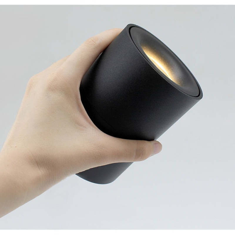 Novak Kleine LED Plafondlamp Zwart Wit Metaal Acryl Slaapkamer