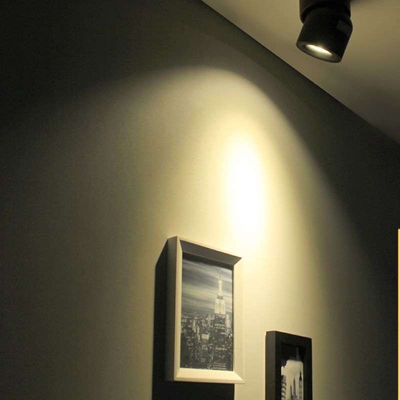 Novak Kleine LED Plafondlamp Zwart Wit Metaal Acryl Slaapkamer