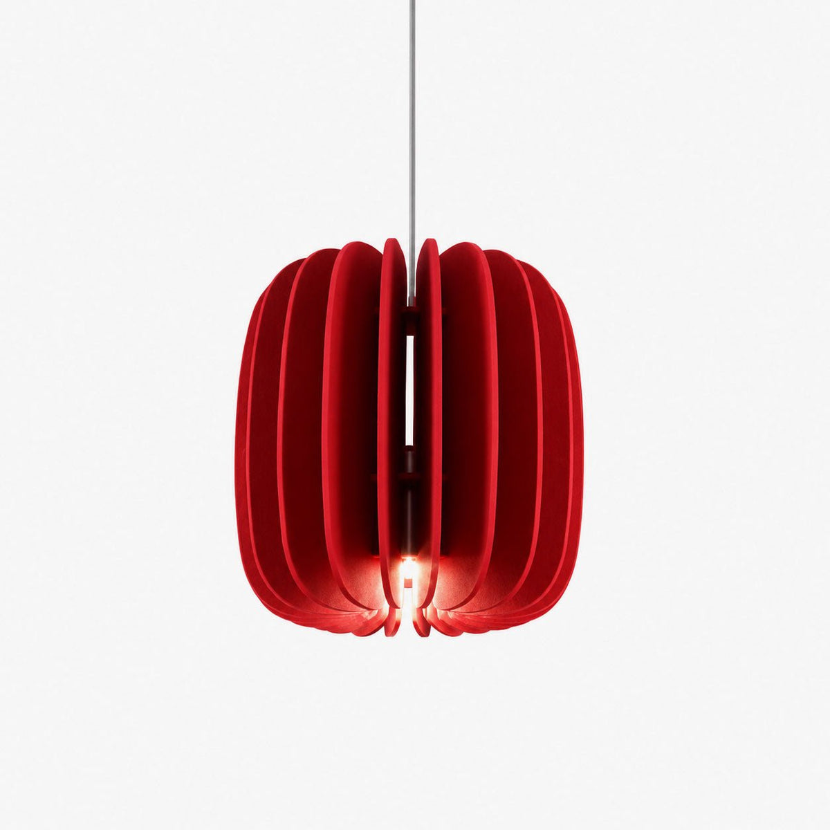 Elaeliella hanglamp