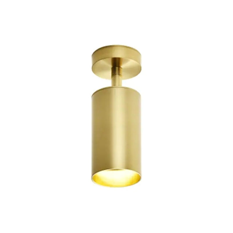 Freja Moderne Cilinder Plafondlampen Spotlight Goud Metaal Slaapkamer