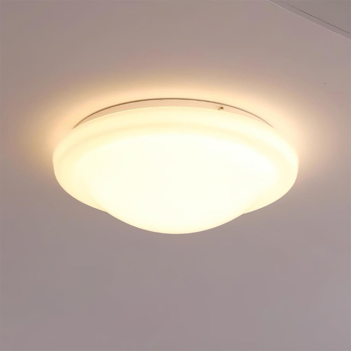 Seloelle plafondlamp