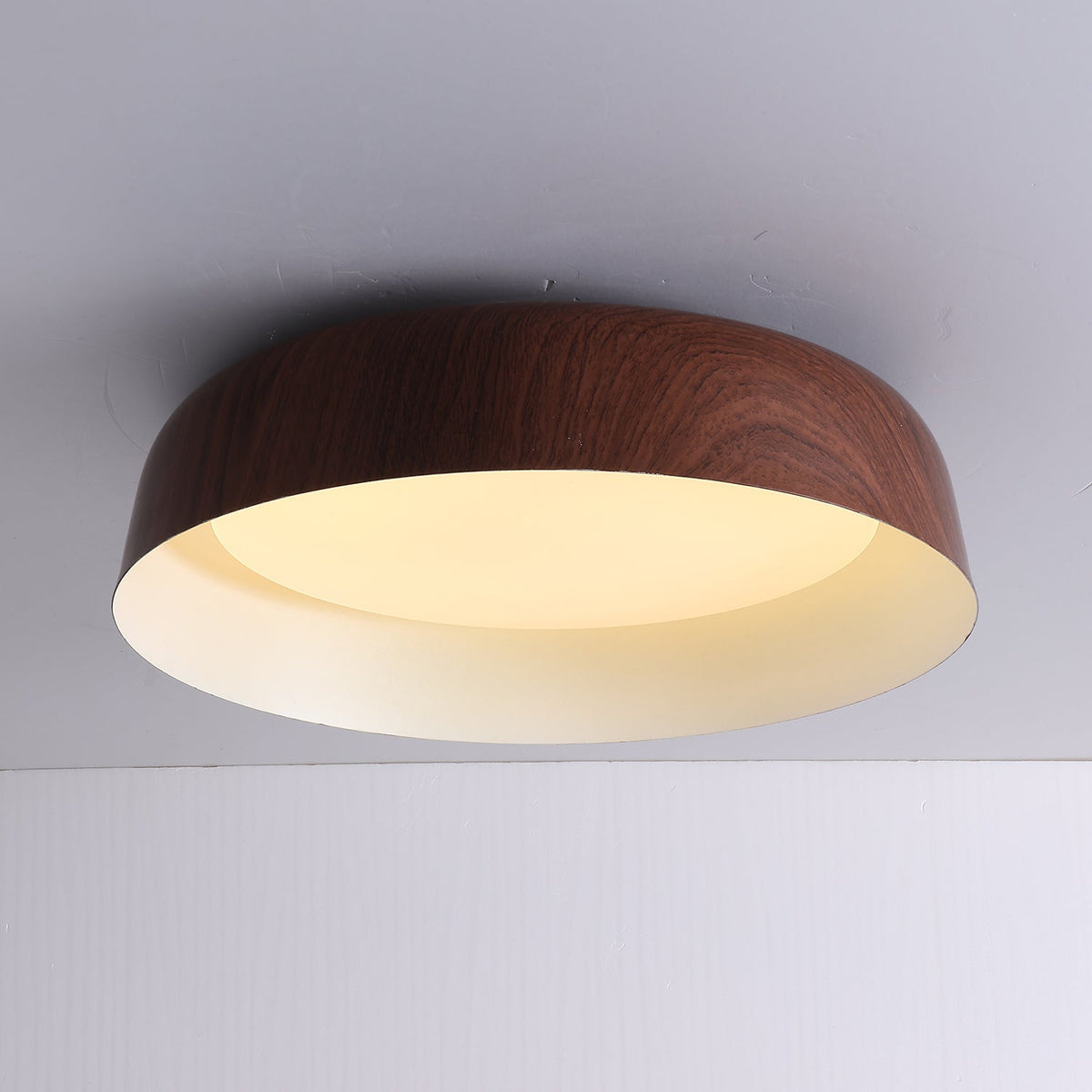 Viraenena Moderne minimalistische plafondlamp