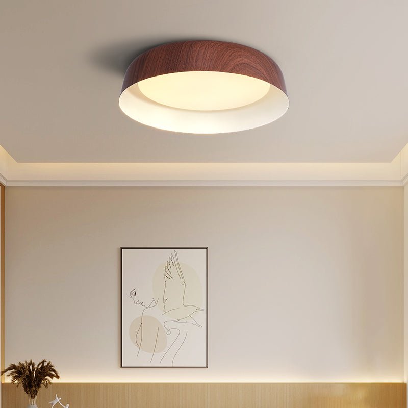 Viraenena Moderne minimalistische plafondlamp