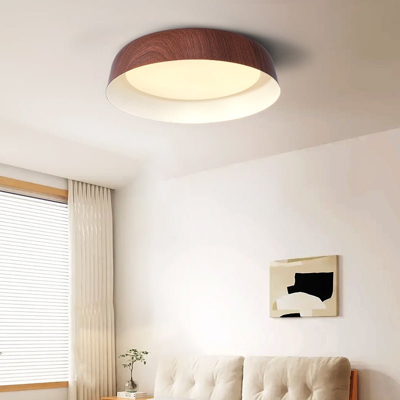 Viraenena Moderne minimalistische plafondlamp