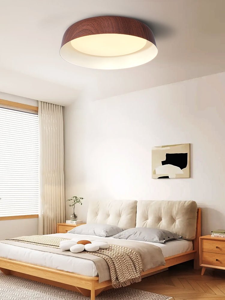 Viraenena Moderne minimalistische plafondlamp