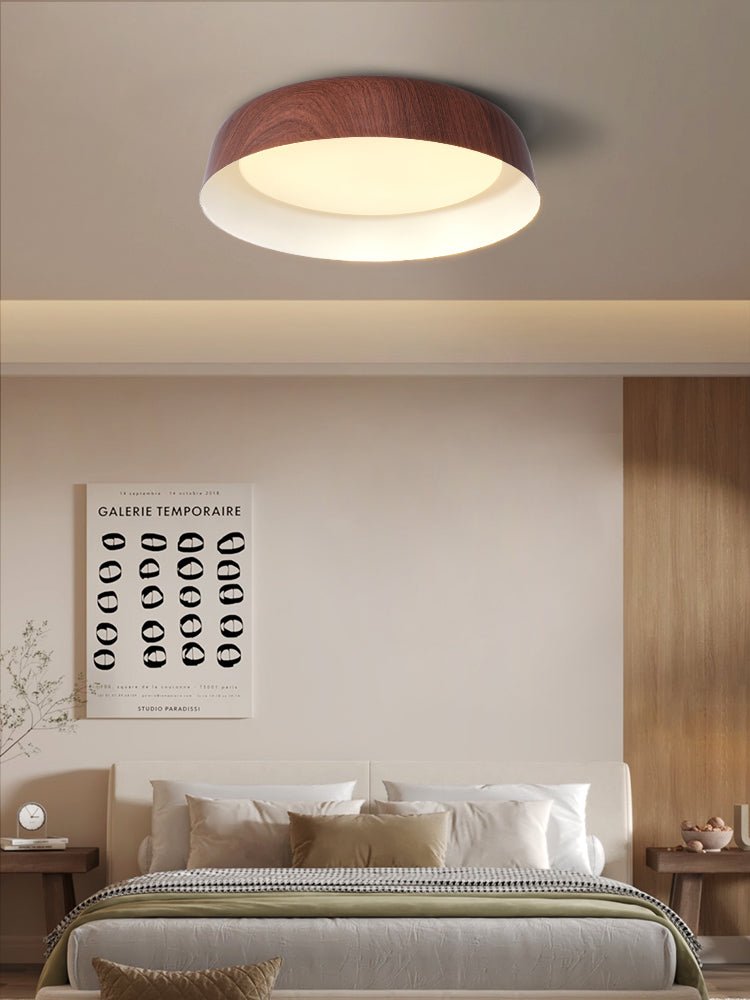 Viraenena Moderne minimalistische plafondlamp