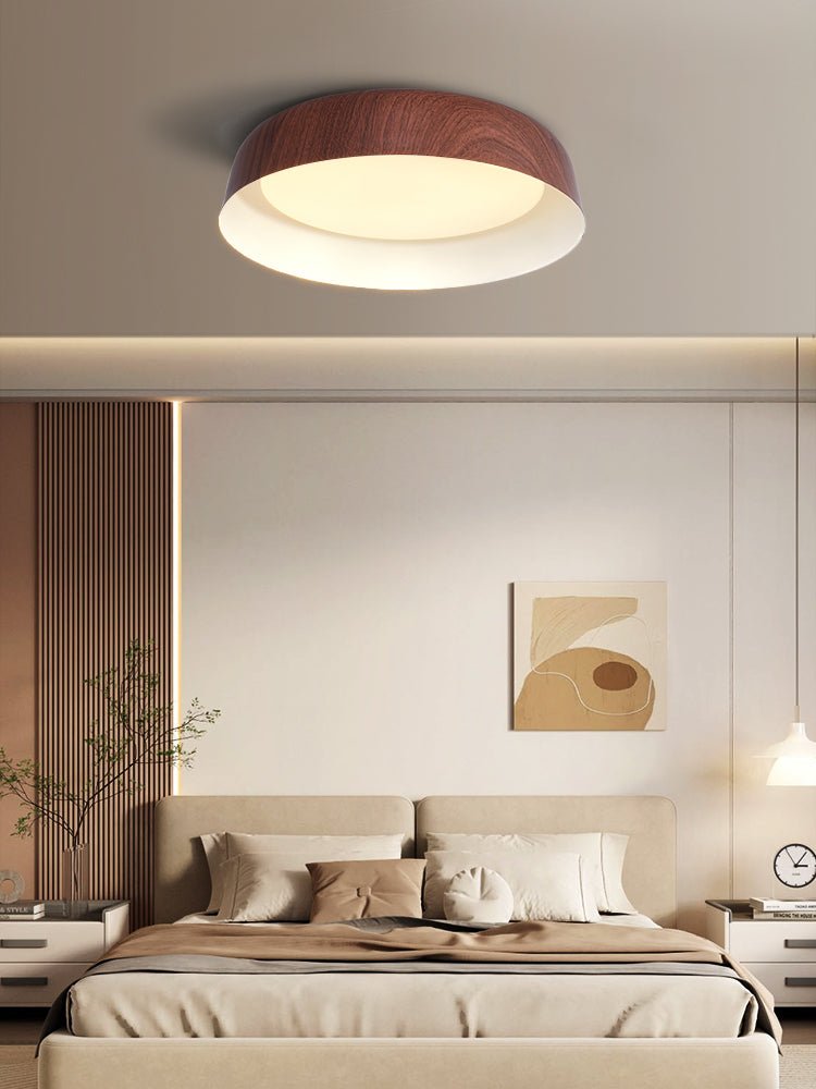 Viraenena Moderne minimalistische plafondlamp