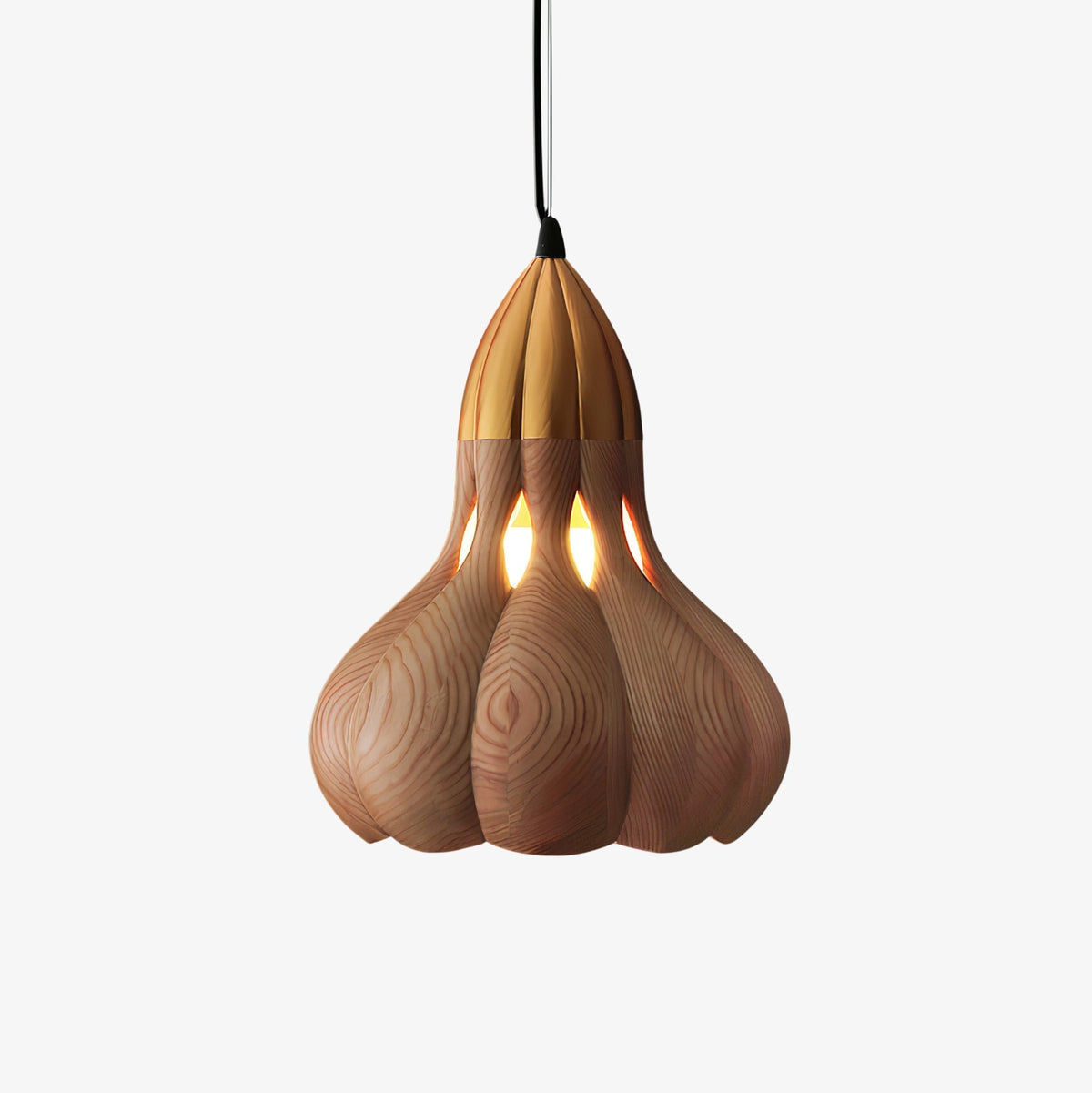Arraeion individuele creativiteit hanglamp van hout