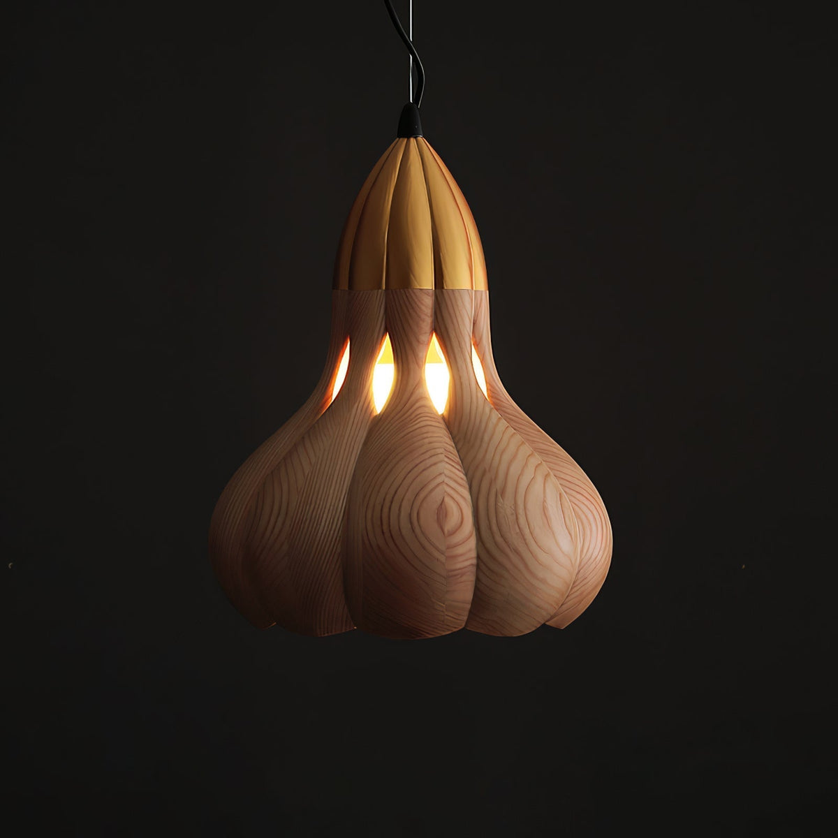 Arraeion individuele creativiteit hanglamp van hout