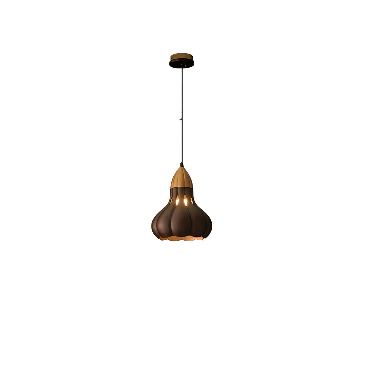 Arraeion individuele creativiteit hanglamp van hout