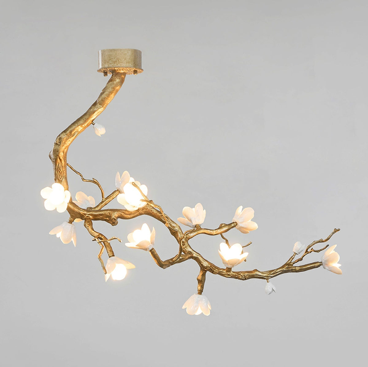 Solenira Kroonluchter messing Flower Branch Natural