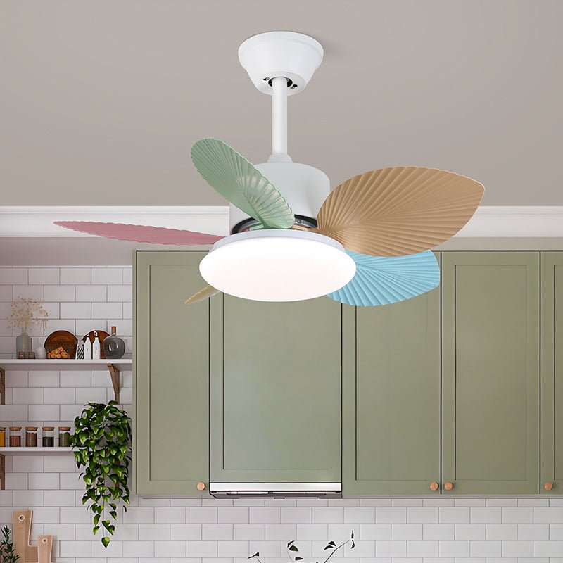 Celoia kleurrijke plafondventilator met verlichting van glas