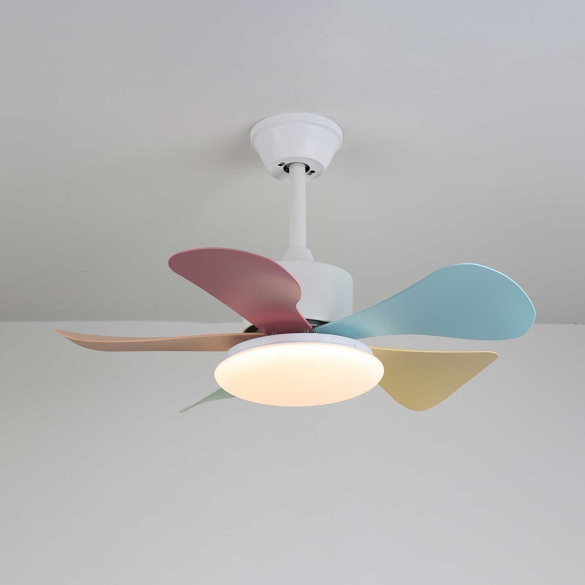 Celoia kleurrijke plafondventilator met verlichting van glas