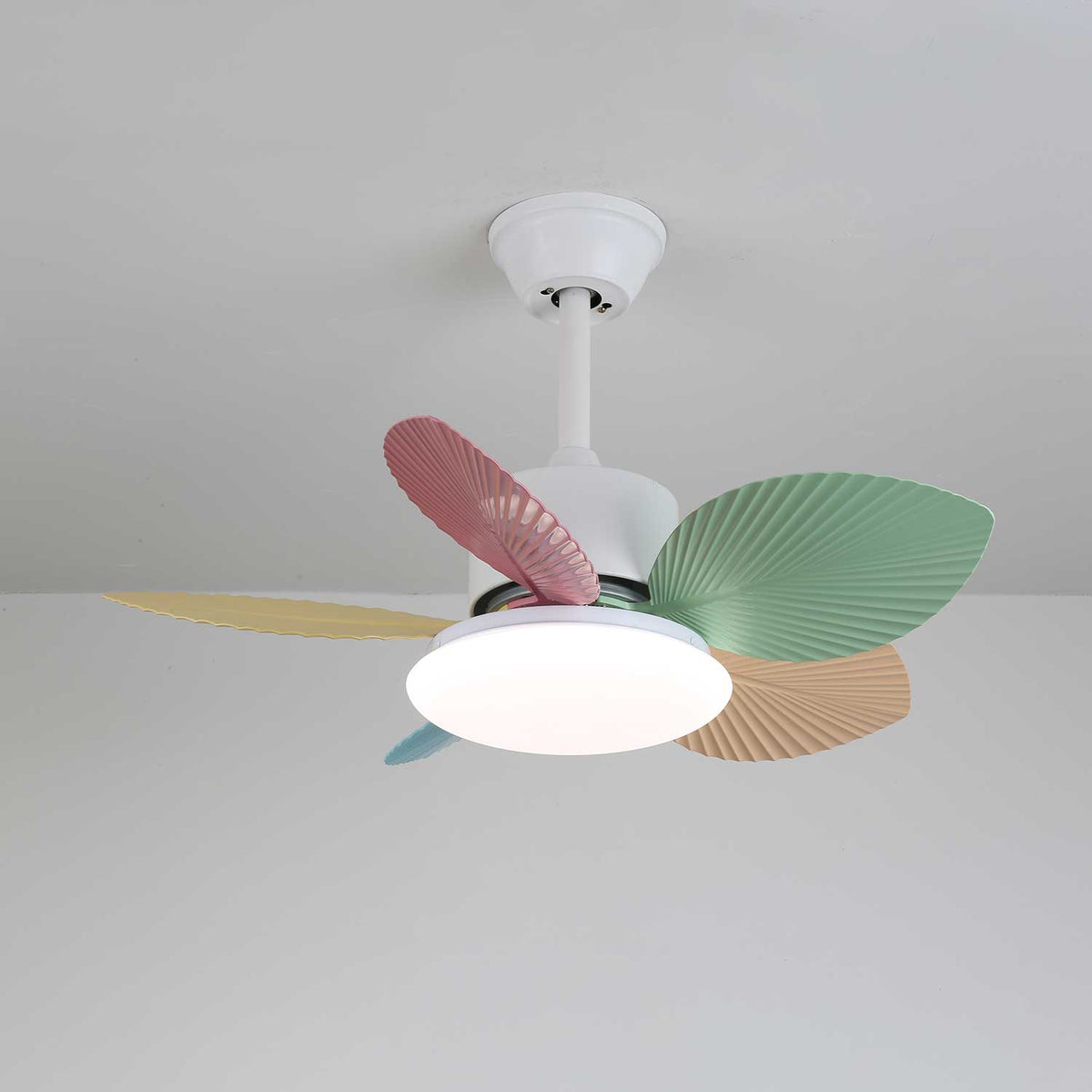 Celoia kleurrijke plafondventilator met verlichting van glas