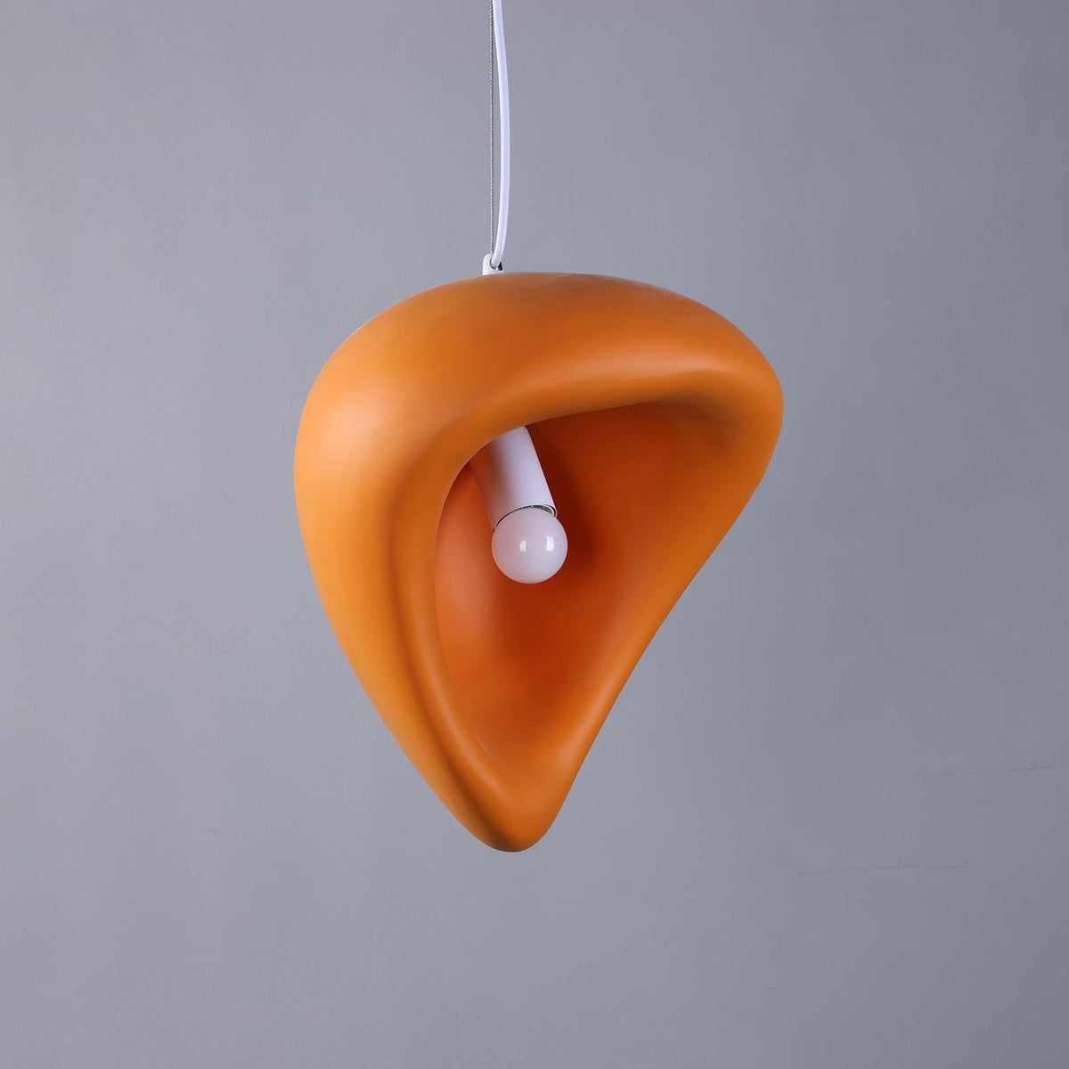 Renareria Premium Noordse kunst hanglamp